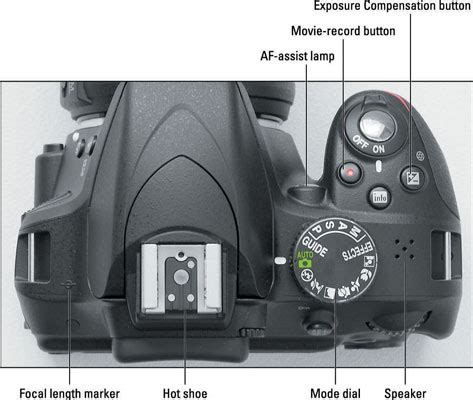 nikon d3300 lv button|Nikon D3300 Controls .